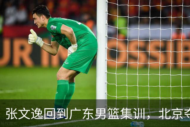 张文逸回到广东男篮集训，北京夺冠功勋确定退役，上海欲续约弗格